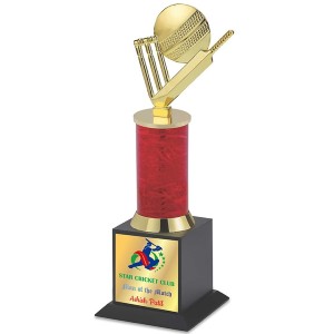 cricket pillar trophy b