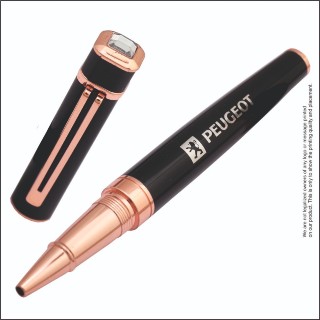 PEUGEOT PEN